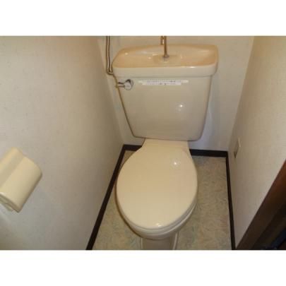 �y���̑��z�@�g�C��