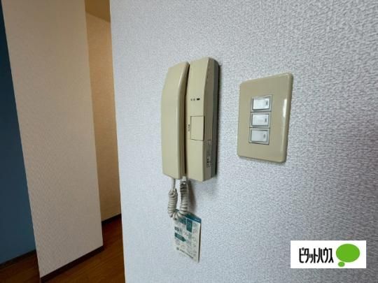 �y���̑��z�@�Z�L�����e�B