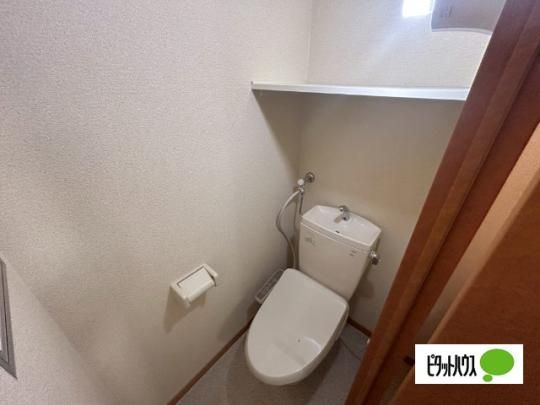 �y���̑��z�@�g�C��