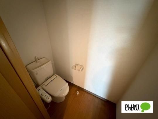 �y���̑��z�@�g�C��