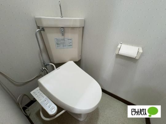 �y���̑��z�@�g�C��