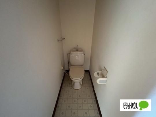 �y���̑��z�@�g�C��