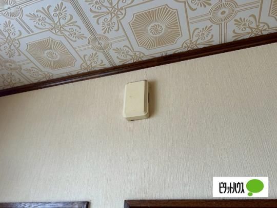 �y���̑��z�@�Z�L�����e�B