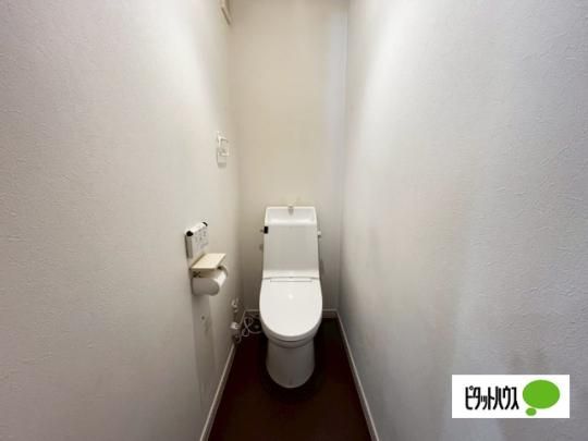 �y���̑��z�@�g�C��