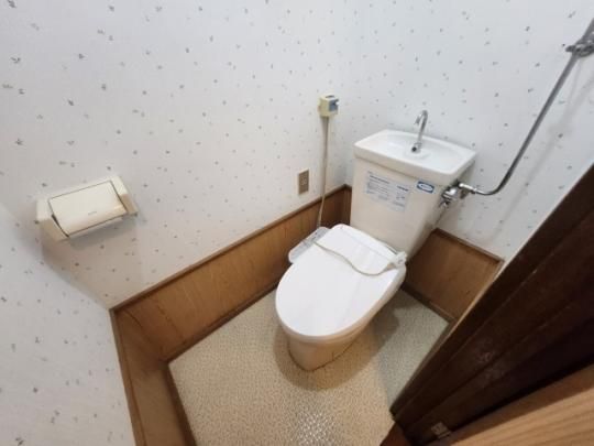 �y���̑��z�@�g�C��
