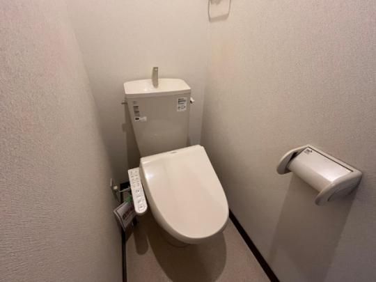 �y���̑��z�@�g�C��