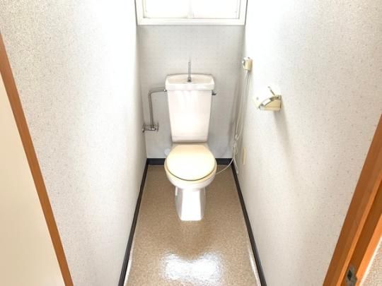 �y���̑��z�@�g�C��