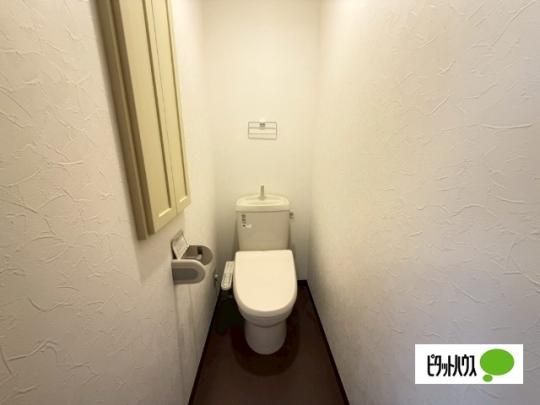 �y���̑��z�@�g�C��