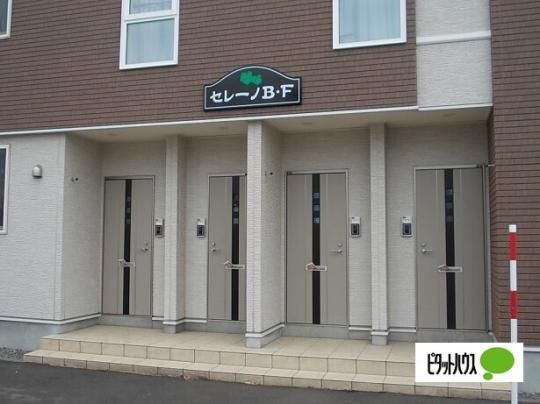 �y�����O�ρz�@�G���g�����X