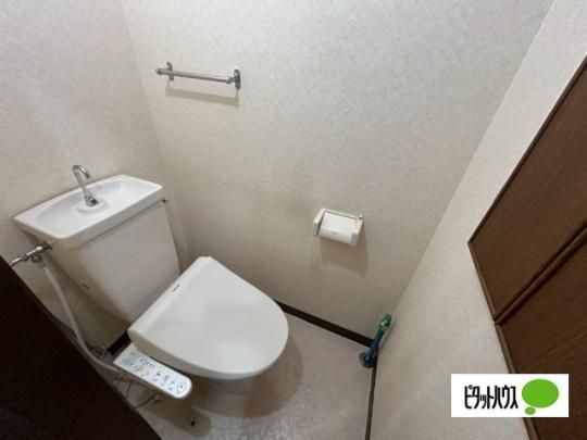 �y���̑��z�@�g�C��