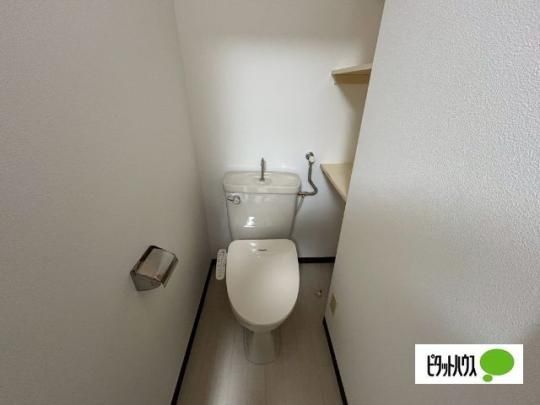 �y���̑��z�@���[