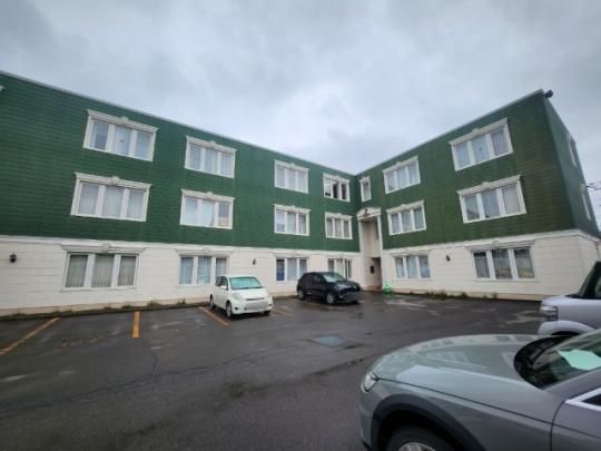 LapeL241A�i���y��241A�j