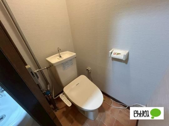 �y���̑��z�@�g�C��