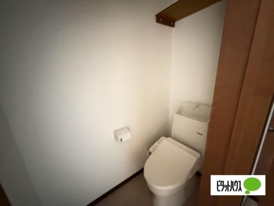 �y���̑��z�@�g�C��