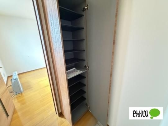 �y���̑��z�@���[