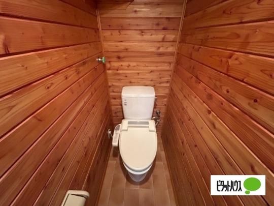 �y���̑��z�@�g�C��