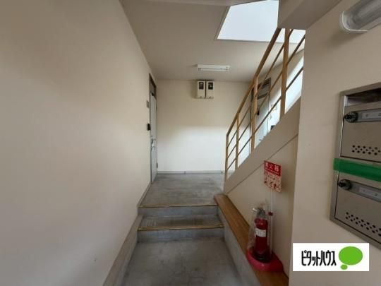 �y�����O�ρz�@���r�[
