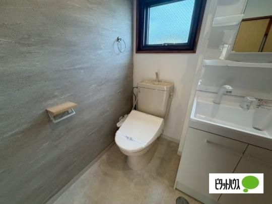 �y���̑��z�@�g�C��