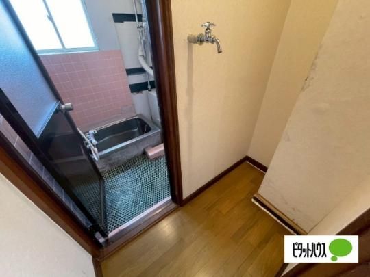 �y���̑��z�@���̑�