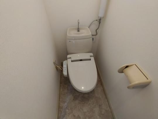 �y���̑��z�@�g�C��