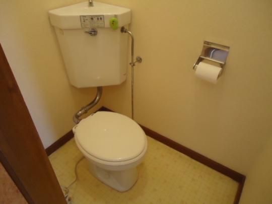�y���̑��z�@�g�C��
