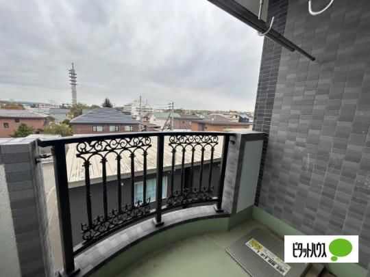 �y���̑��z�@�o���R�j�[