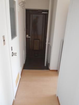 �y���̑��z�@����