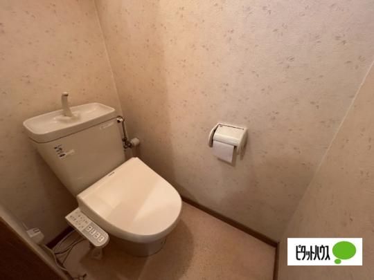 �y���̑��z�@�g�C��