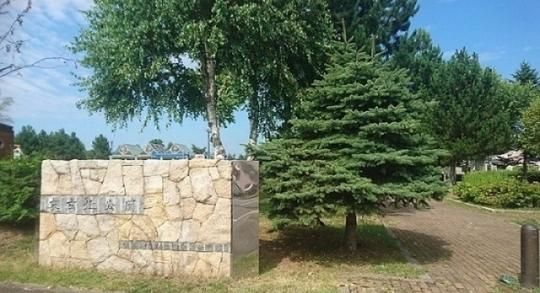 �y���Ӂz�@���L�k�����F220m