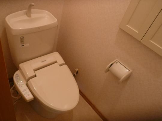 �y���̑��z�@�g�C��