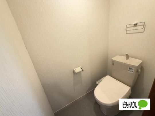 �y���̑��z�@�g�C��