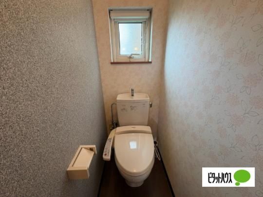 �y���̑��z�@�g�C��