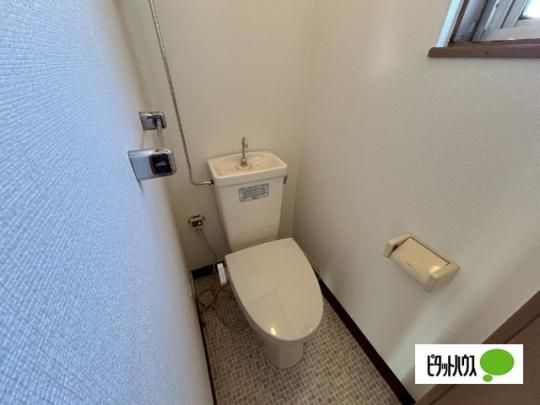 �y���̑��z�@�g�C��
