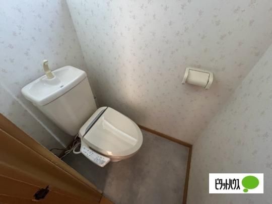�y���̑��z�@�g�C��