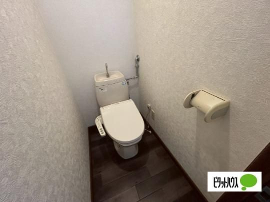 �y���̑��z�@�g�C��