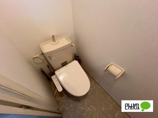 �y���̑��z�@�g�C��