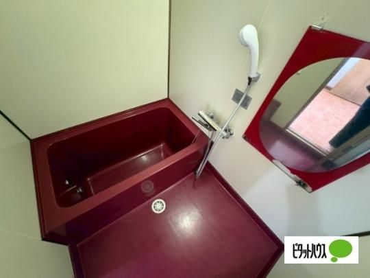 �y���̑��z�@�o�X�^�V�����[