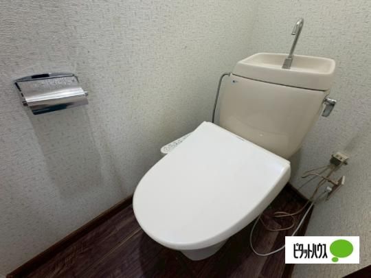 �y���̑��z�@�g�C��