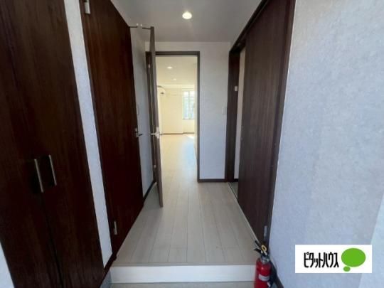 �y���̑��z�@����