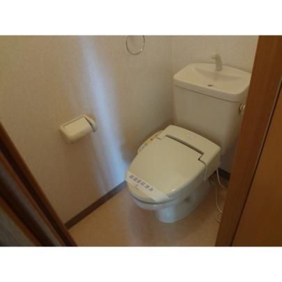 �y���̑��z�@�g�C��