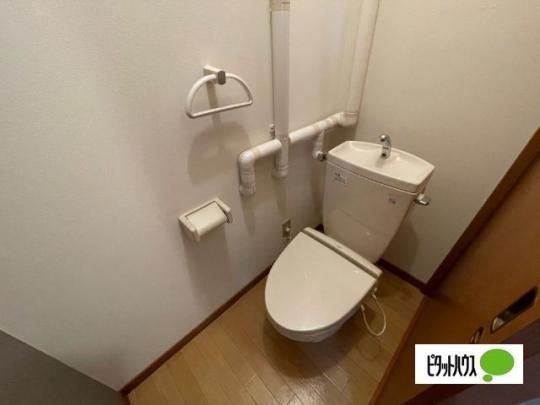 �y���̑��z�@�g�C��