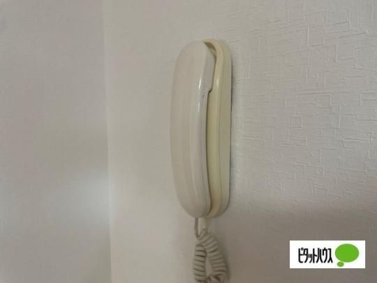 �y���̑��z�@�Z�L�����e�B