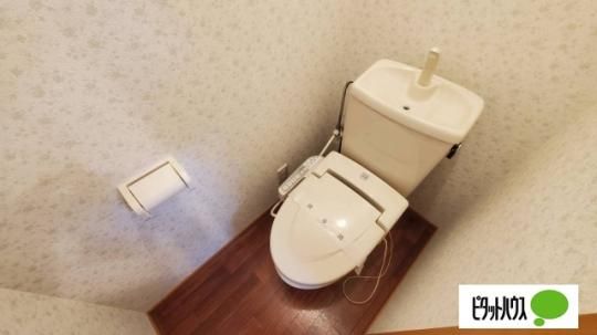 �y���̑��z�@�g�C��