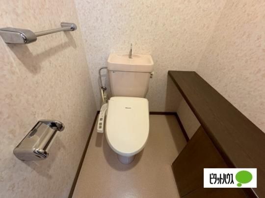 �y���̑��z�@�g�C��