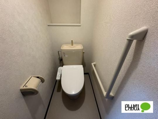 �y���̑��z�@�g�C��