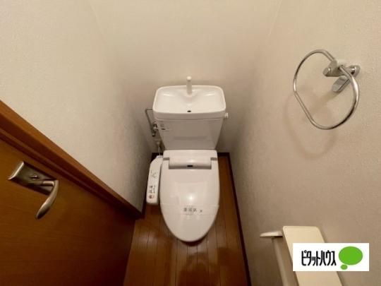 �y���̑��z�@�g�C��