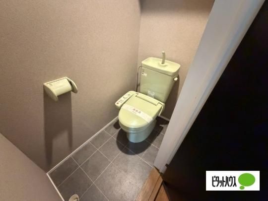 �y���̑��z�@�g�C��