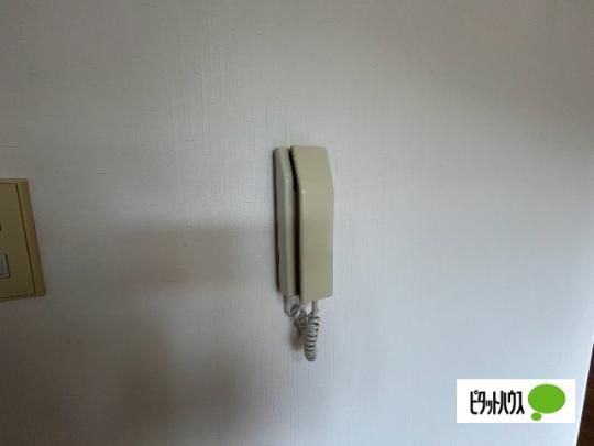 �y���̑��z�@�Z�L�����e�B