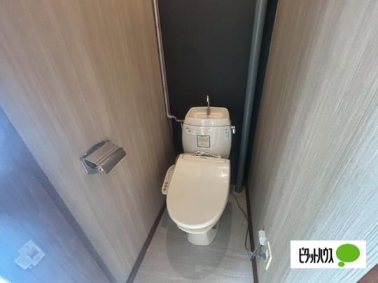 �y���̑��z�@�g�C��