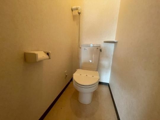 �y���̑��z�@�g�C��